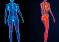 4D Body Scans Enable Data-Driven Skin Modeling for Better Compression Leggings