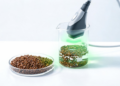 AI Finds Greener Way to Extract Cassia Seed Compounds with Ultrasound