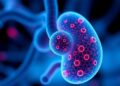 AI-designed first-in-class small-molecule inhibitor shows preclinical promise against pancreatic cancer