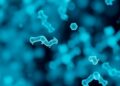 AI-powered optical methods enable rapid bacterial pathogen detection in food and clinics