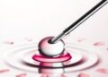 Acoustic Tweezers Reveal Biomolecular Droplet Stiffness