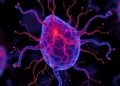 Adipolin May Reveal Early Vascular Damage in Children With Obesity