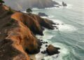 After California coastal wildfires, human and animal fecal bacteria contaminate coastal waters