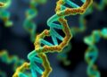 Alternative splicing could reveal proteins’ hidden functions