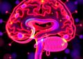 Anti-NMDAR Antibody Testing Offers Hope, but Caution Remains in Pediatric Encephalitis