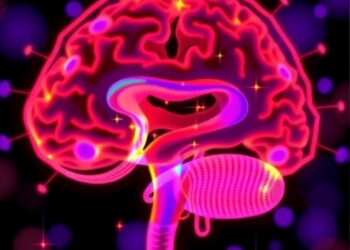 Anti-NMDAR Antibody Testing Offers Hope, but Caution Remains in Pediatric Encephalitis