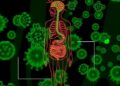 Antisense transcription uncovers disease-linked adaptations in the human gut microbiome