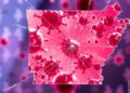 Arkansas researchers map genetic neighborhoods to identify disease-causing bacteria
