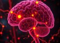 Astrocytes Directly Control Brain Circuits That Consolidate Memories