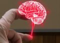 Bar-Ilan Study Finds Attention Can Regulate Acute Inflammation in Humans