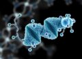 Barley Cold-Inducible Disordered Protein CISP Acts as a Small RNA Chaperone