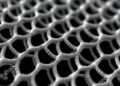 Bioinspired Nano-Fishnet Design Gives Carbon Nanotube Composite Films Ultra-High Dynamic Toughness