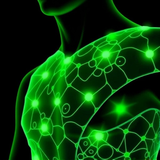 Biomass-Derived Conductive E-Skin Advances Wearable Bioelectronics and Smart Wound Healing