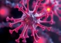 Biomimetic artificial cells reveal how mechanics regulate immune synapses