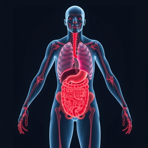 Blocking Xenophagocytosis May Enable Interspecies Organ Generation