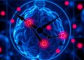 Body clock regulation of tumor vesicle release influences targeted therapy effectiveness