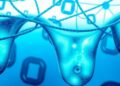 Carbon Accounting Rules Influence Incentives for Hydrogen Production