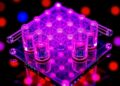 Cellulose-Derived Quantum Dots Boost Photocatalytic Hydrogen Production
