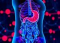 Chinese Medical Journal review examines AI’s role in inflammatory bowel disease management