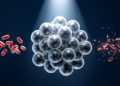 Chitosan Composite Turns Barium Ferrite Into a Light-Activated Bacteria Killer