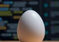 Computing professor’s egg shrinks software programs, making them faster and more agile