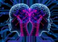 Constructing Digital Twin Brains Beyond Measurement Limits