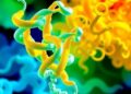 DC-BiGAN-IR Predicts Insulin Receptors Using Protein Language Models and Wavelet-Enhanced PSSM
