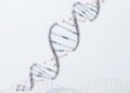 DNA Origami Reveals Hidden Molecular Movements