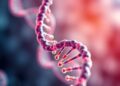 DNA Repair Mechanisms Show Preference for Certain Genetic Damage