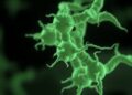 Desiccation promotes DNA damage and rifampin resistance in Mycobacterium tuberculosis