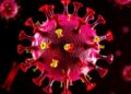 Disrupted Cellular RNA Balance Drives MDA5 Activation During Viral Infection