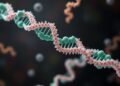 Diverse bacterial DNA glycosylases share a conserved antiviral defense function