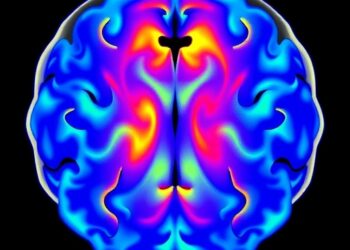 Dual-frequency photoacoustic imaging maps vessels and oxygenation across the mouse brain