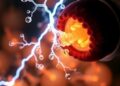 Electricity-Driven Microbes Rewire Energy Metabolism in Clostridium ljungdahlii