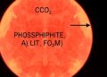 Electrochemical Method Couples CO2 and Phosphite to Produce Foscarnet