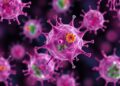 Engineered macrophages programmed to target bacteria combat infections in immunosuppressed patients
