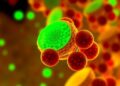 Engineered macrophages reprogram tumor microenvironments, boosting antitumor immunity with IL-10–TLR9 switches