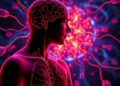 Entropy theory offers new view of critical illness beyond organ dysfunction