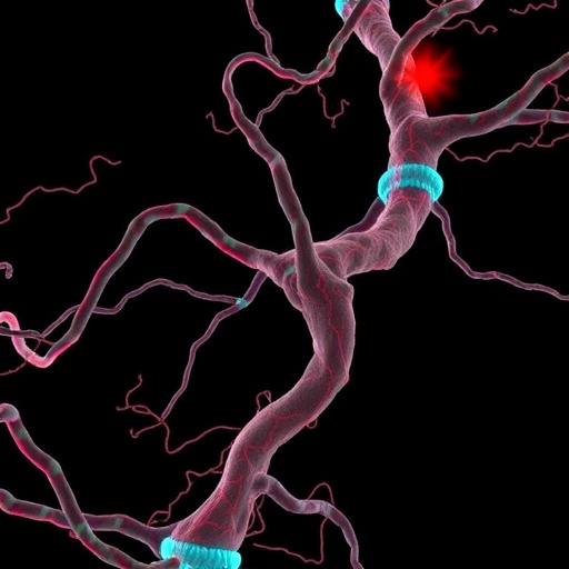 FOXK2 discoveries broaden understanding of cancer biology and clinical care