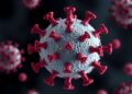 First 24 Hours After Viral Infection Are Critical for Disease Outcomes