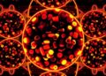 Food Waste Becomes Biochar Membranes for Smarter Thermal Energy Storage