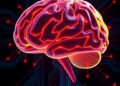 Full-Stack Designs Bring Intelligence to Brain-Computer Interfaces