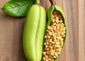 Genes and Environment Shape Common Bean Seed Coat Patterns and Nutrition