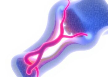 Genetic switches may program 3D-printed bone to grow blood vessels
