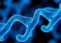 Genomic Newborn Screening Examines Missed Cases and What Counts