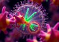 Genomic Study Reveals Diversity, Light-Powered Proteins, and Eight New Aquirufa Species