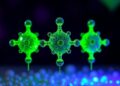 Green-Assisted Pulsed Laser Ablation Produces Sustainable CuO Nanoparticles with Antibacterial Properties