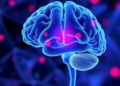 H6PD Identified as Parkinson’s Causal Gene Linking ER-Mitochondria Disruption to Neurodegeneration