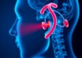 Healthy lifestyle lowers hearing impairment risk 14%; metabolism plays key role