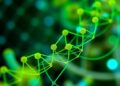 Herbert College of Agriculture Launches Bioinformatics Major Shaping Agriculture and Natural Resources Futures